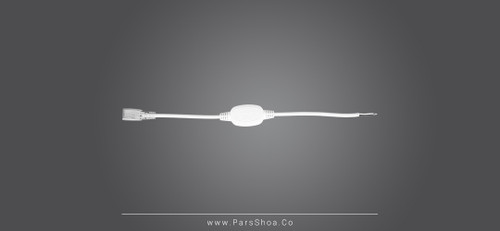 100 عدد در کارتن